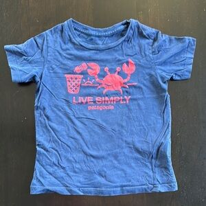 Patagonia Blue Graphic Short Sleeve Tee